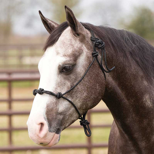 Equi-Sky Training Rope Halter Black