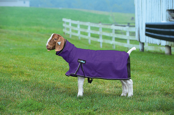 Weaver ProCool Goat Blanket with Reflective Piping & Mesh Butt
