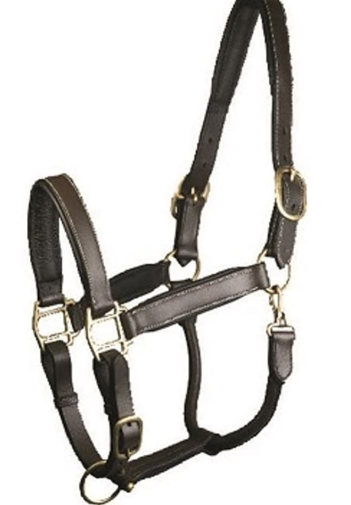 Gatsby Padded Leather Halter