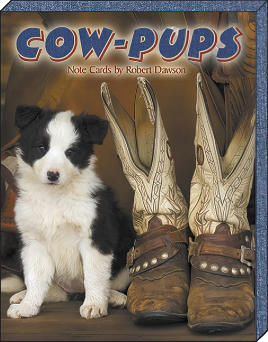 Leanin Tree 12 Notecards Pack Cow Pups