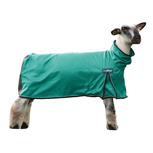 Weaver ProCool Sheep Blanket with Reflective Piping & Mesh Butt