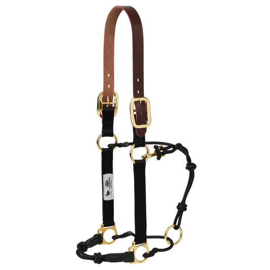 Weaver Kalley Krickeberg Breakaway Horseman's Halter