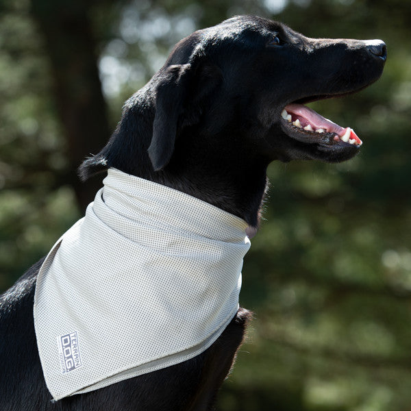Terrain Dog Coolcore Cooling Bandana