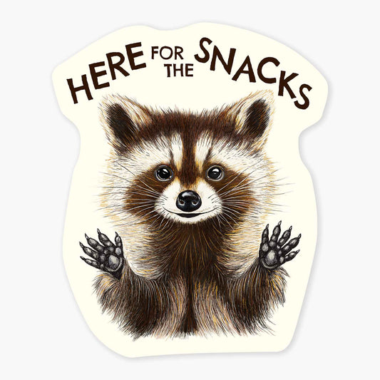 Nice Enough Stickers Raccoon Snacks