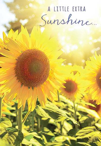Leanin Tree A Little Extra Sunshine