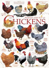 Outset 1000 Piece Puzzle