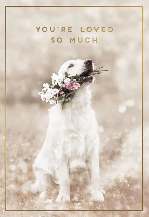 Leanin Tree You're Loved So Much Card