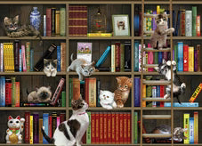 Outset 1000 Piece Puzzle