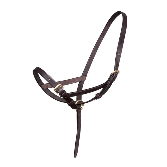 Velociti Leather Foal Halter