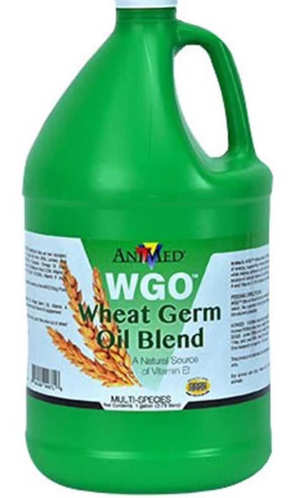 Animed Wheat Germ Oil Blend Supplement