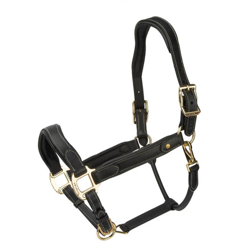 Velociti Lusso Lorca Leather Halter