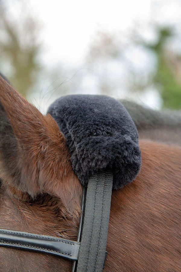 Shires Lunging Adapter