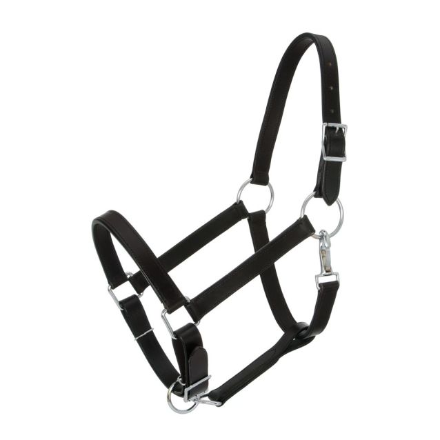 Royal King Draft Horse Leather Stable Halter