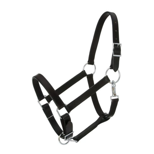 Royal King Draft Horse Leather Stable Halter