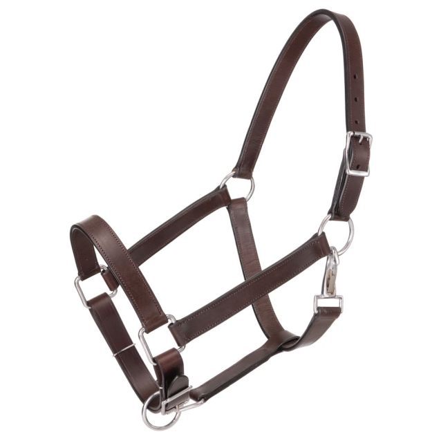 Royal King Draft Horse Leather Stable Halter