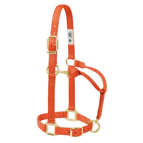 Weaver Adjustable Chin Throat Snap Halter 3/4" Weanling/Pony