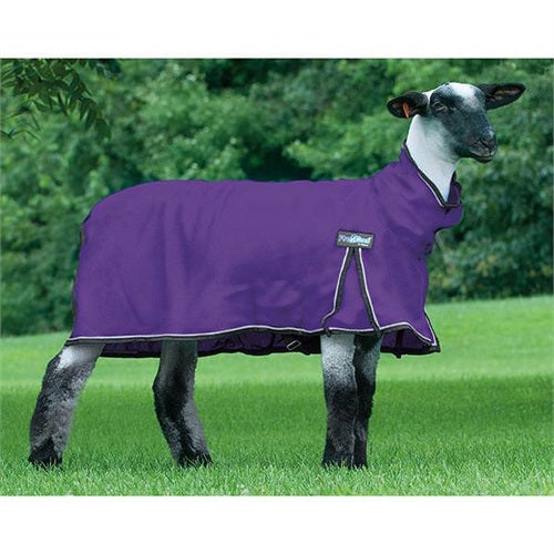 Weaver ProCool Sheep Blanket with Reflective Piping & Mesh Butt