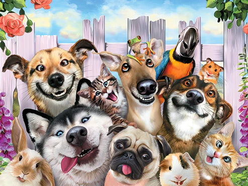 Leanin Tree Smile Birthday Dogs and Friends