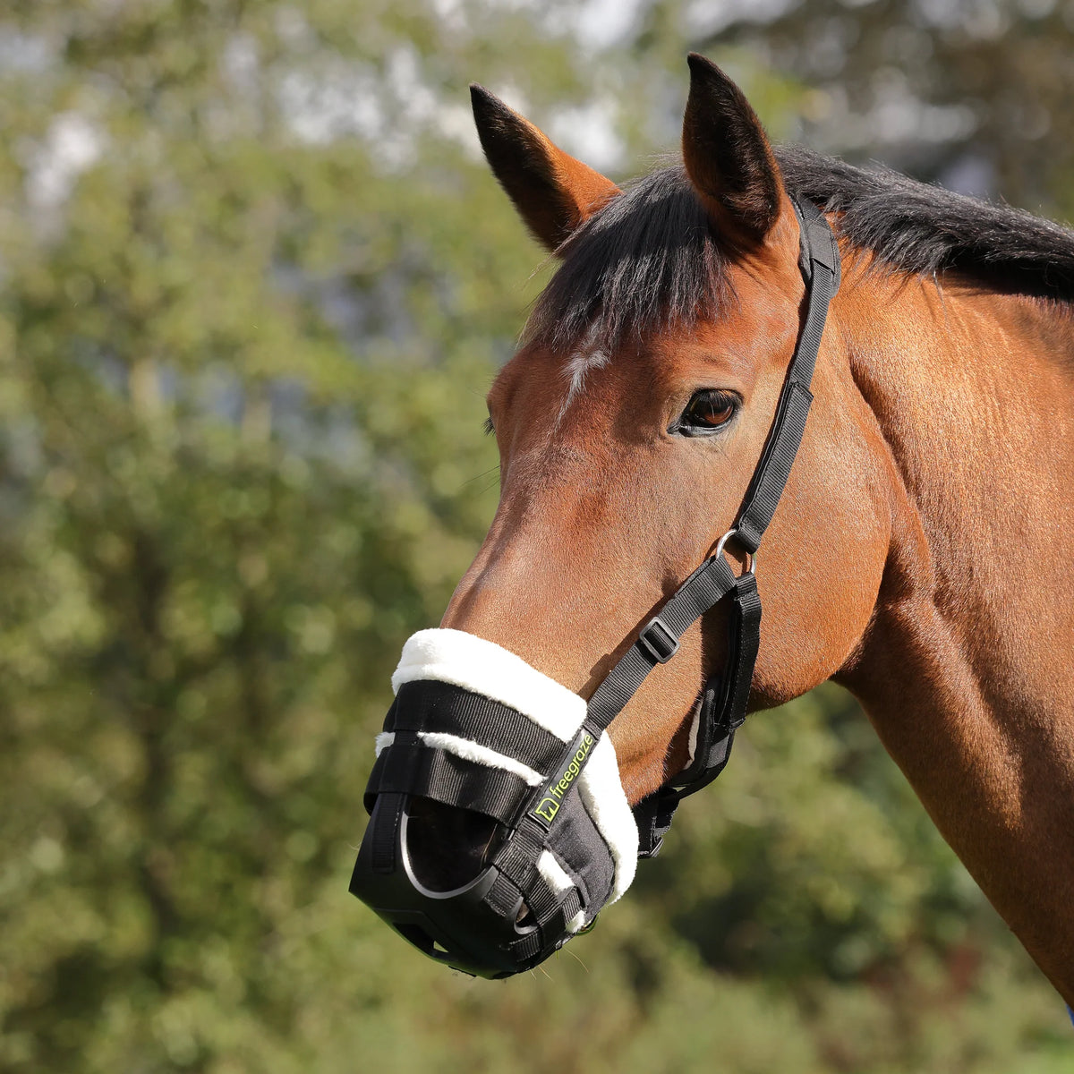FreeGraze Deluxe Comfort Grazing Muzzle