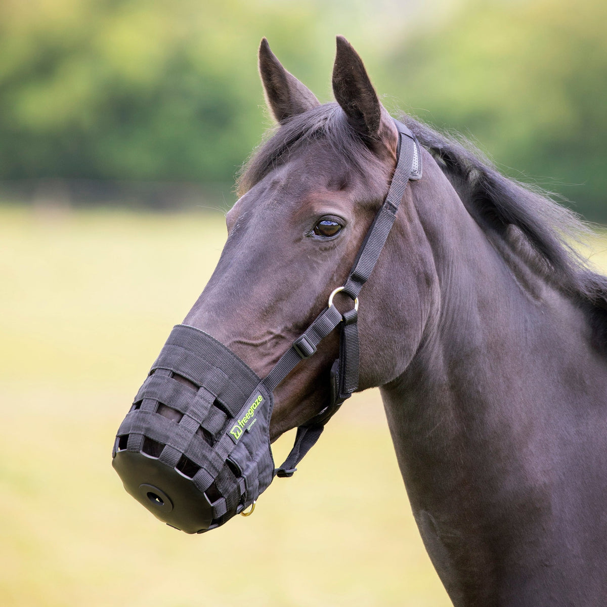FreeGraze Comfort Grazing Muzzle
