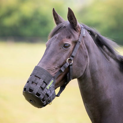 FreeGraze Comfort Grazing Muzzle