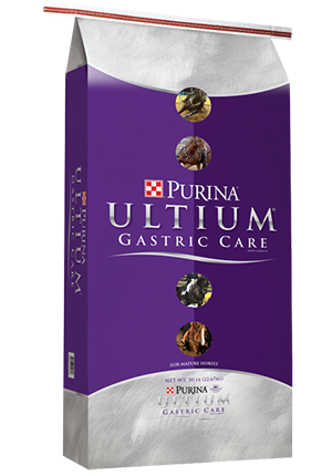 Purina Ultium Gastric Care