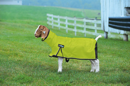 Weaver ProCool Goat Blanket with Reflective Piping & Mesh Butt
