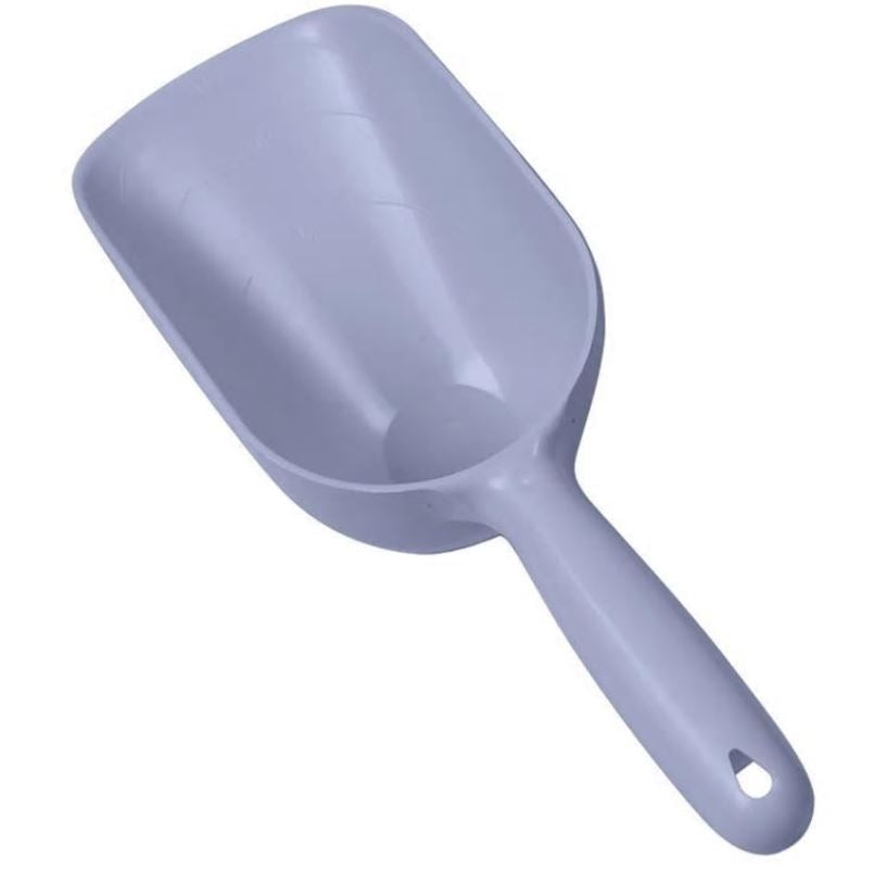 Food Scoop