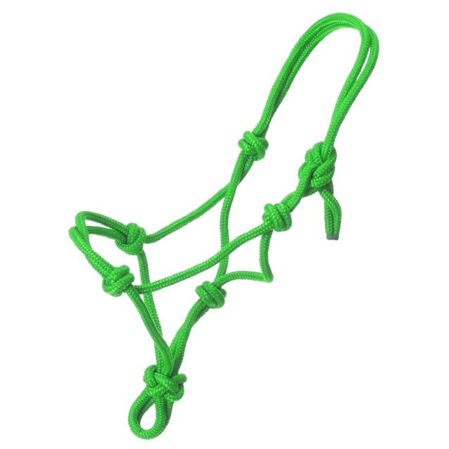 Tough 1 Miniature Rope Halter