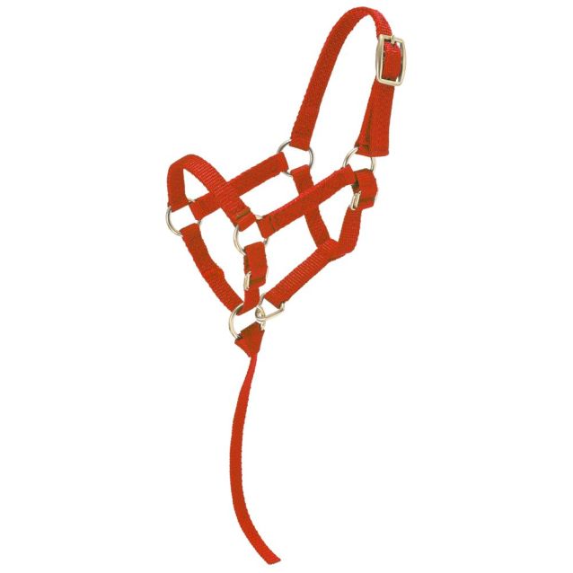 Tough1 Miniature Nylon Halter