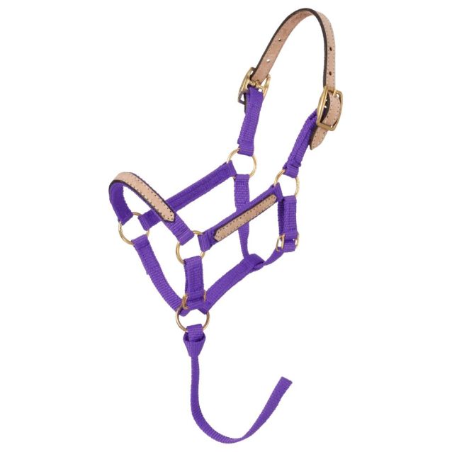 Tough 1 Miniature Nylon Breakaway Halter