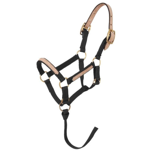 Tough 1 Miniature Nylon Breakaway Halter