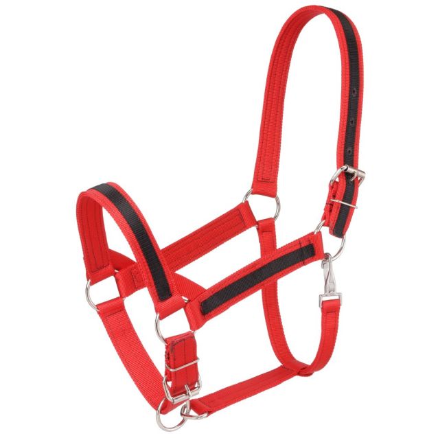 Tough 1 Premium Nylon Draft Halter with Overlay