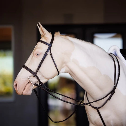 Lusso Fancy Square Raised Standing Martingale Oak