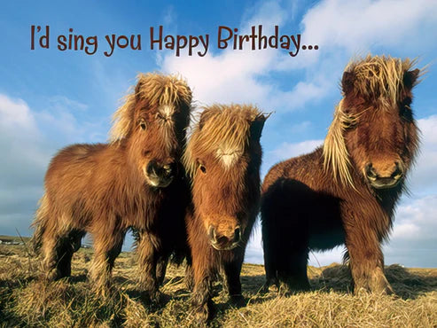 Leanin Tree Pony Birthday Card