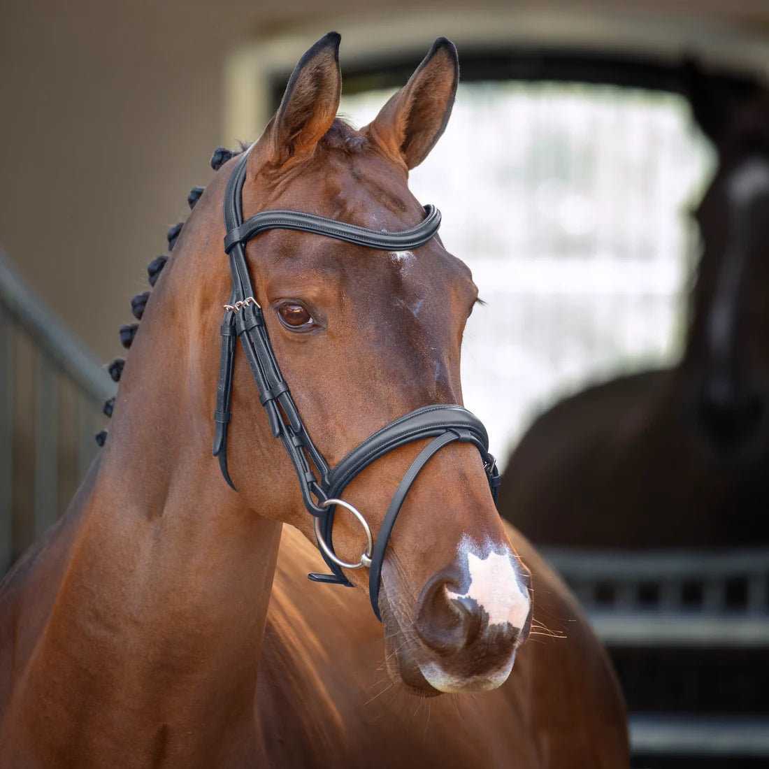 Shires Lusso Padded Raised Bridle with Flash Black