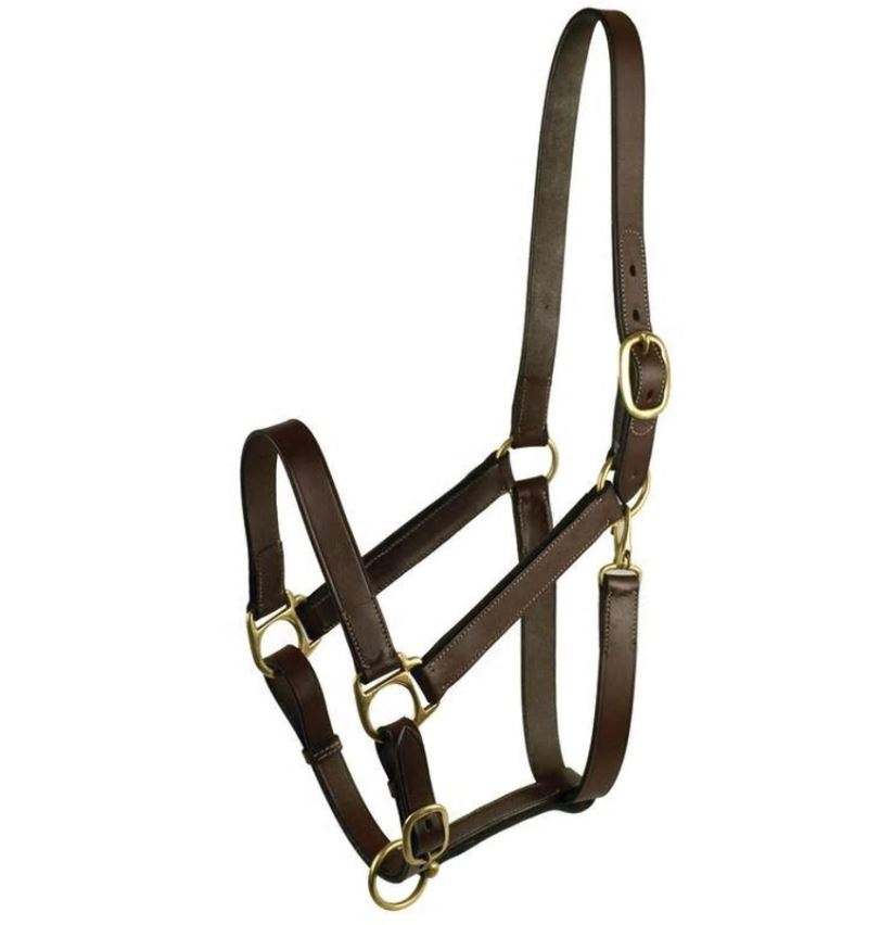Gatsby Leather Halter
