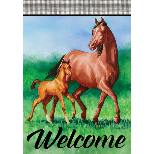Carson Garden Flag Young Spirit