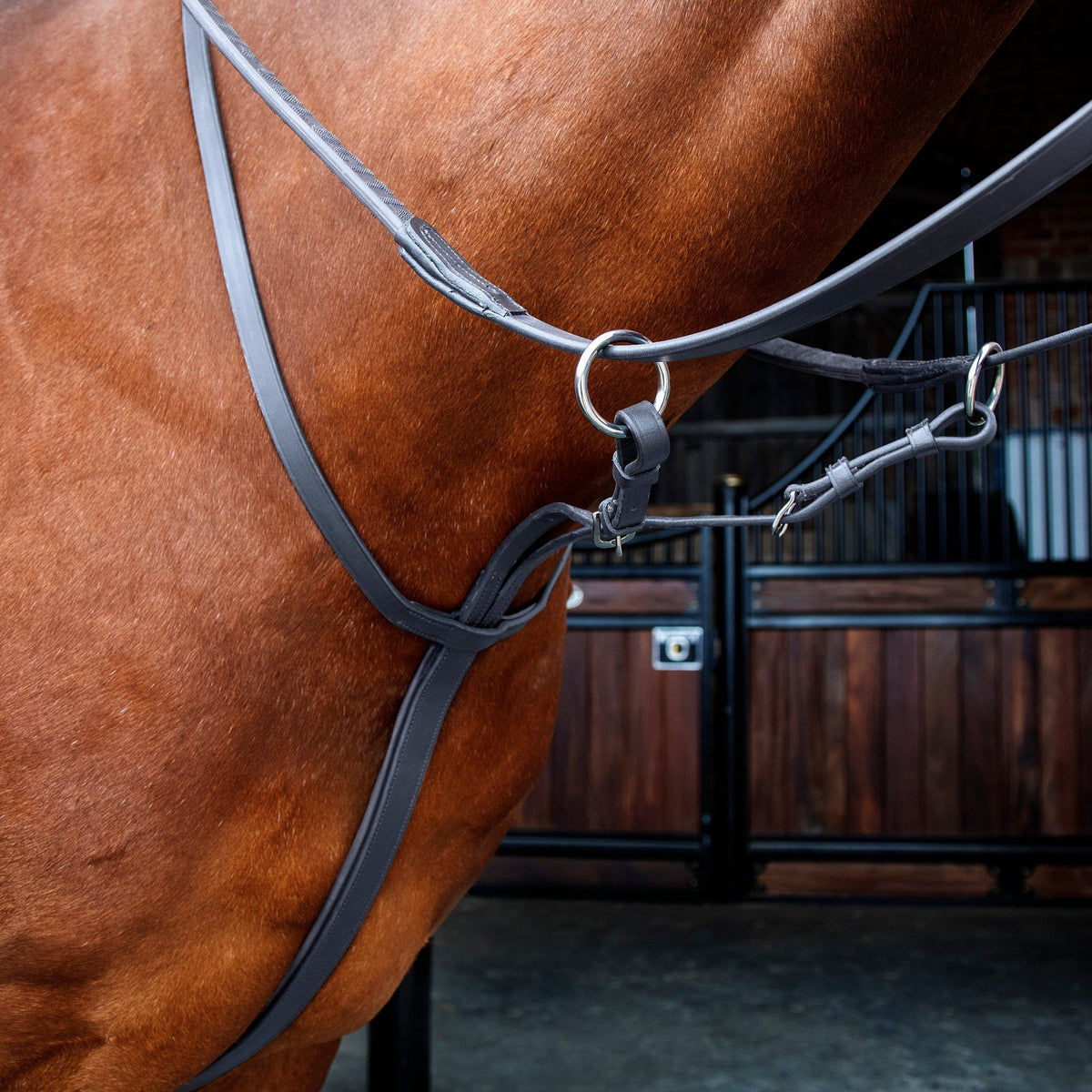 Velociti Running Martingale