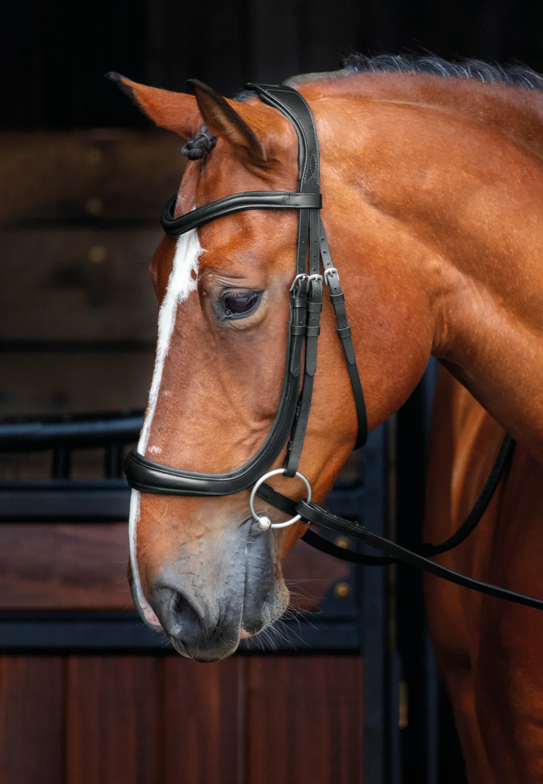 Shires Velociti Ergonomic Cavesson Bridle Black