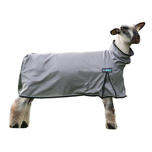 Weaver ProCool Sheep Blanket with Reflective Piping & Mesh Butt