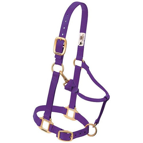 Weaver Adjustable Chin Throat Snap Halter 3/4" Weanling/Pony