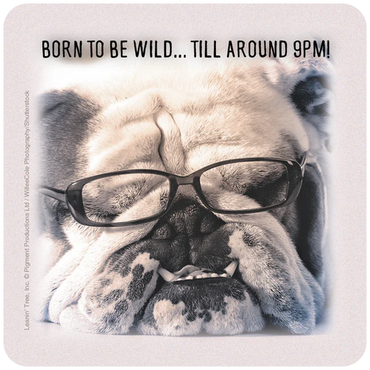 Leanin Tree Born to be Wild...