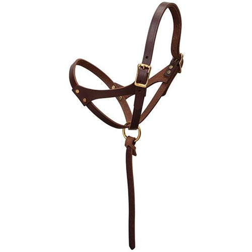 Weaver Leather Figure 8 Foal/Suckling Halter