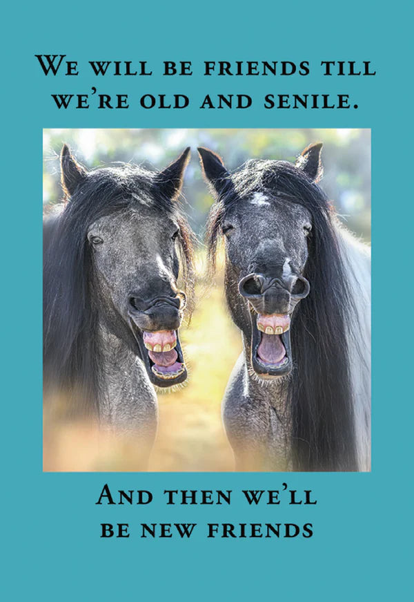 Leanin Tree Friends Till We're Old Horse