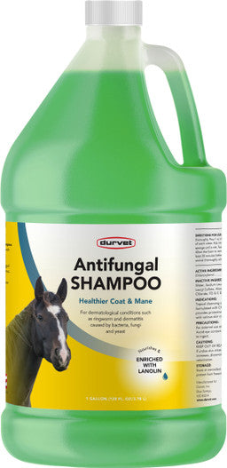 Durvet Antifungal Shampoo