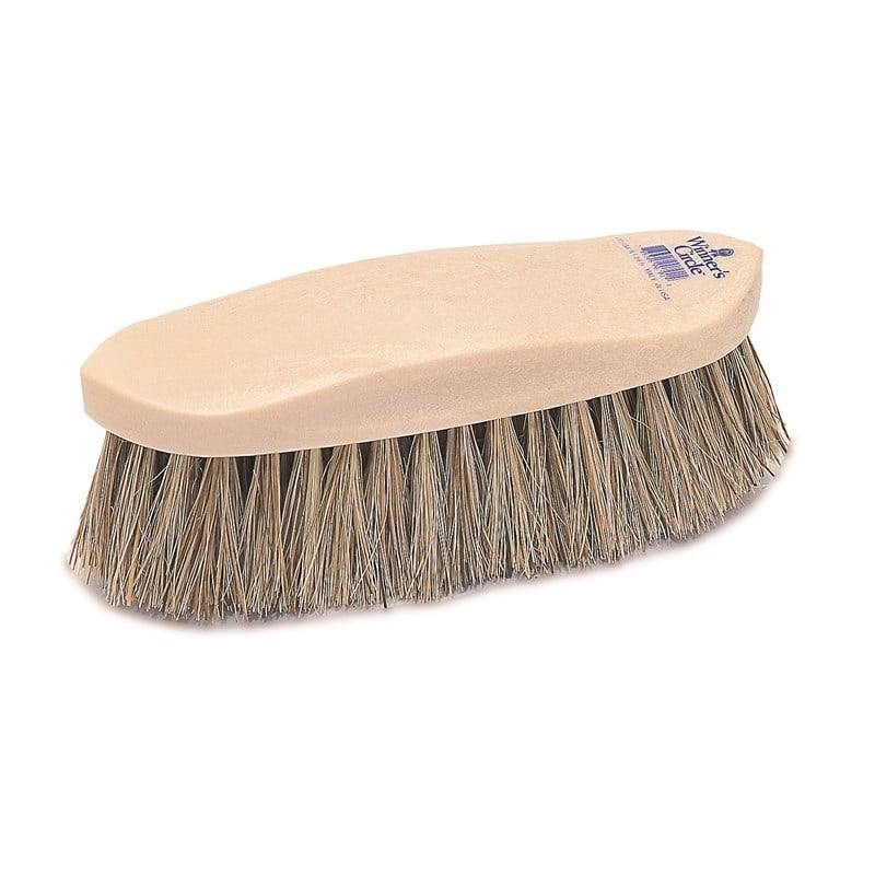 Champion Brush Winner's Circle Union Fiber Dandy Brush