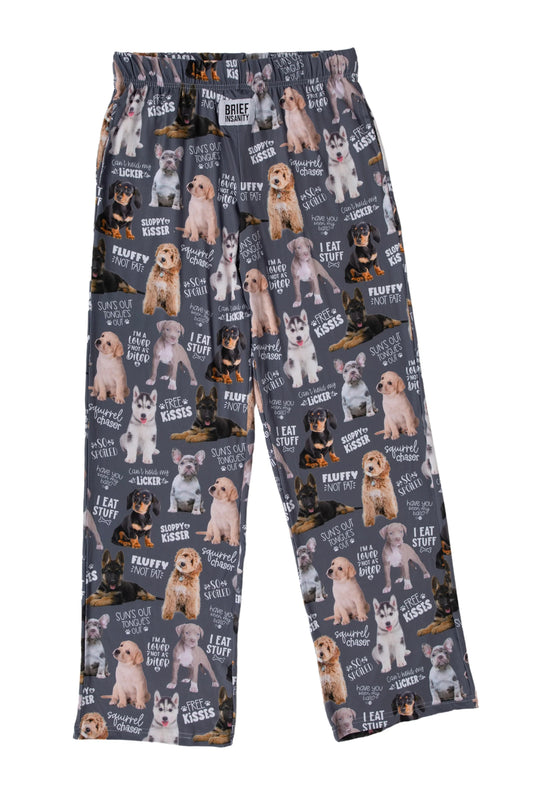 Brief Insanity Chalkboard Dog Lounge Pants