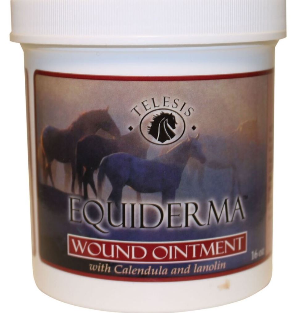 Equiderma Wound Ointment