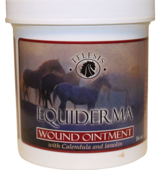Equiderma Wound Ointment